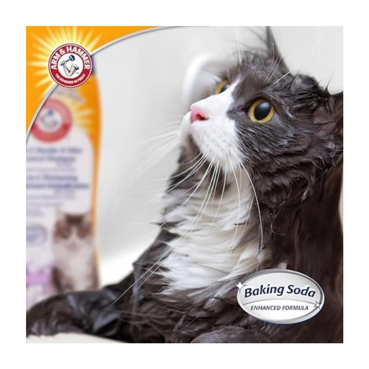 Arm & Hammer 2-in-1 Deodorizing & Dander Reducing Cat Shampoo (1-Pack)
